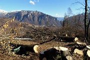 29 Taglio alberi intorno alla baita-cascina